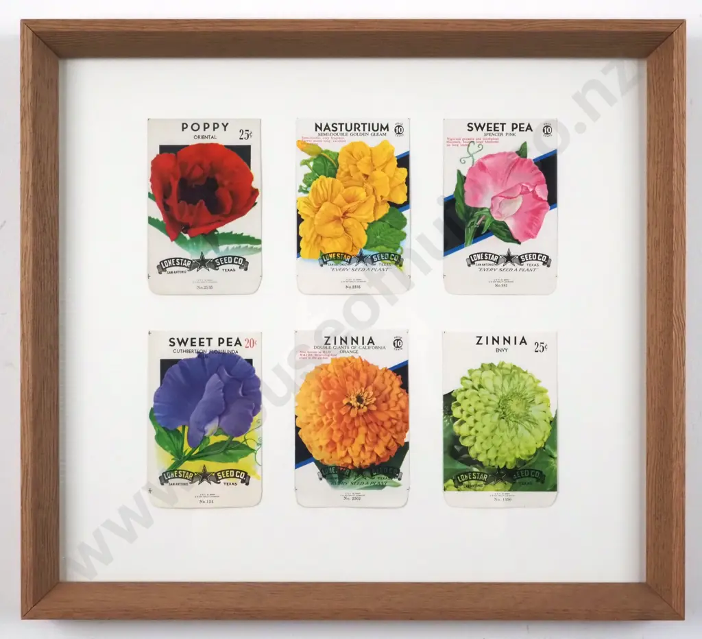 Vintage Vintage 80 Year Old Flower Seed Packets. Authentic Original - Lithograph. Image 1++