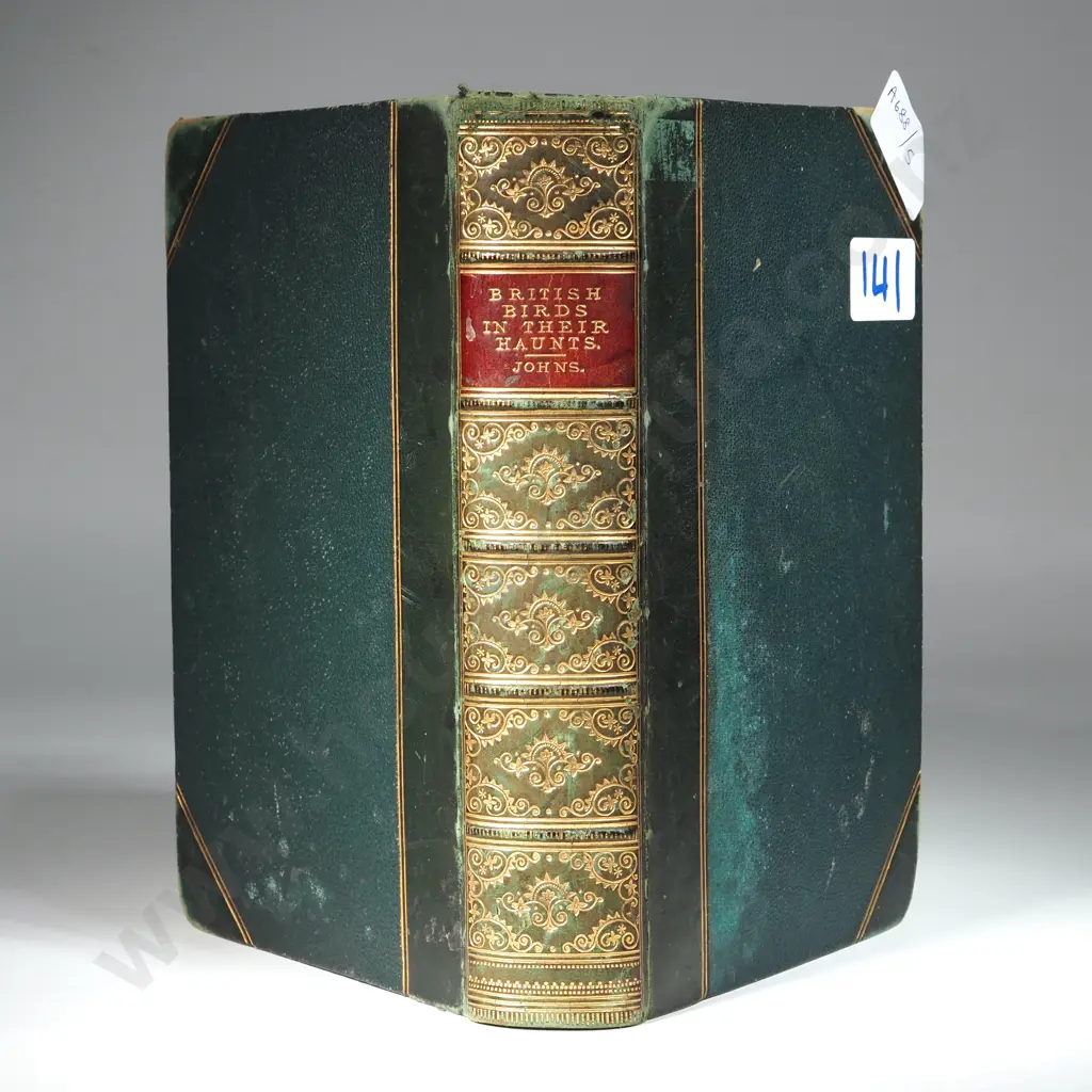 British Birds In Their Haunts Rev. C. A. Johns, J. A. Owen (Ed.)  Published by George Routledge and Sons Ltd, 1928 Image 1++