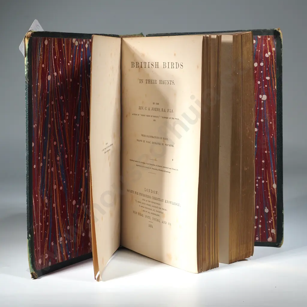 British Birds In Their Haunts Rev. C. A. Johns, J. A. Owen (Ed.)  Published by George Routledge and Sons Ltd, 1928 Image 1++