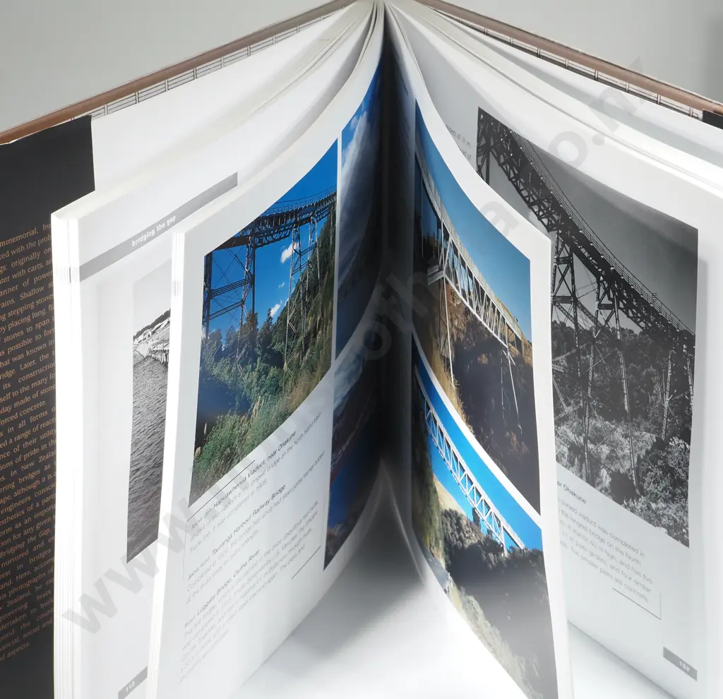 Thornton, Geoffrey; Bridging The Gap Image 1++