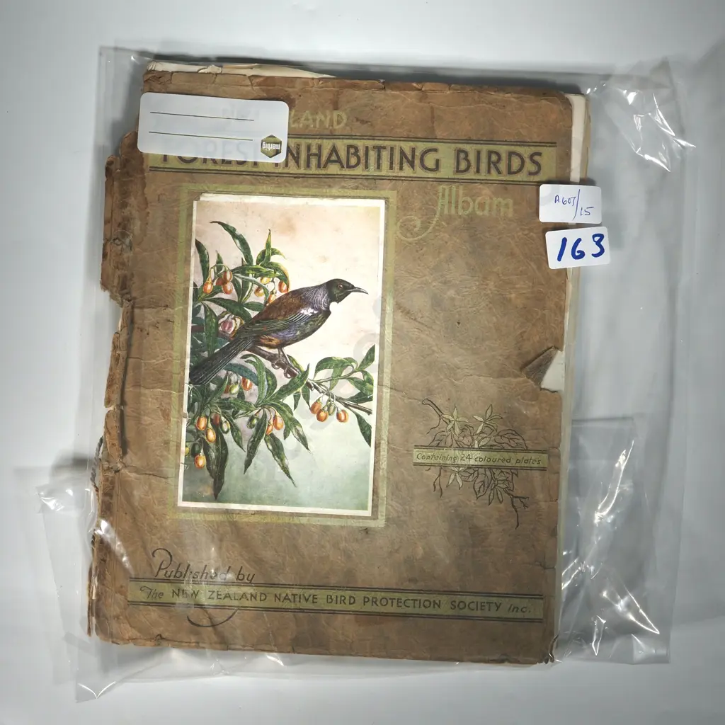 New Zealand Birds. Forest-Inhabiting Birds. Published by Forest and Bird Protection Society Image 1++