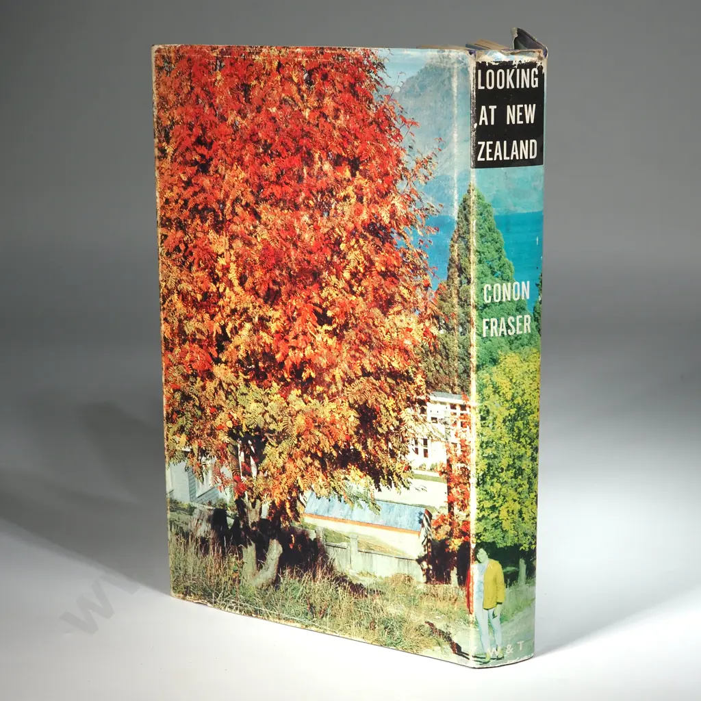 Faser, Conon; looking at New Zealand Image 1++