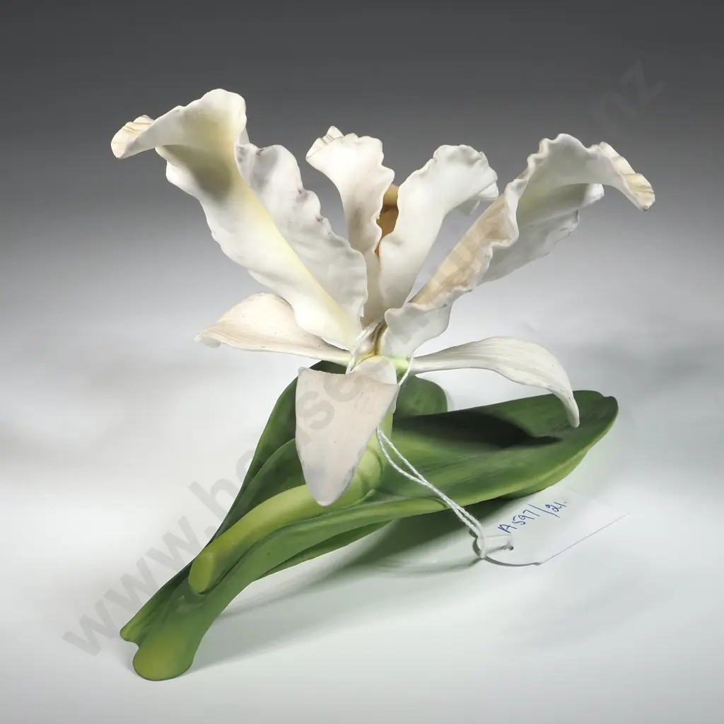 Angel Bells Orchid Porcelain  By Ronald Van Ruykevelt 1982 Royal Horticultural Society Image 1++