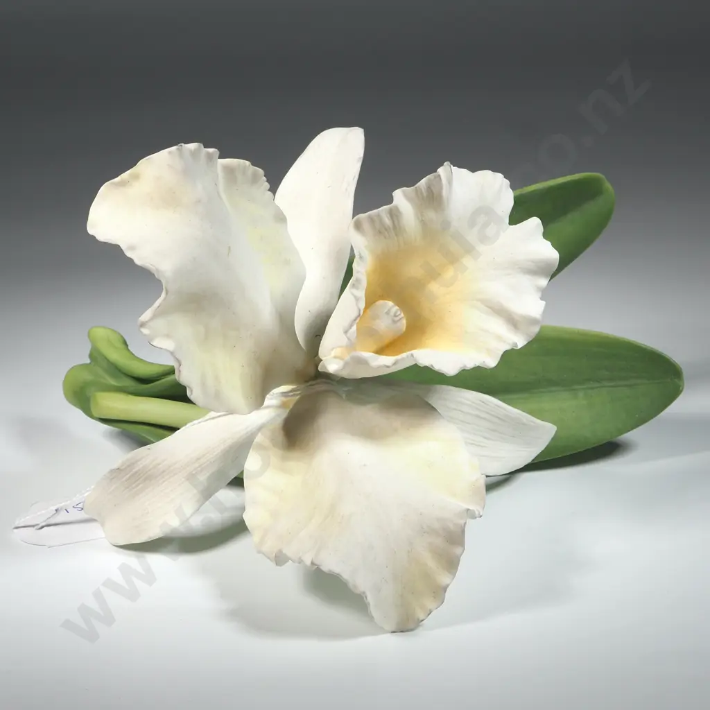 Angel Bells Orchid Porcelain  By Ronald Van Ruykevelt 1982 Royal Horticultural Society Image 1++