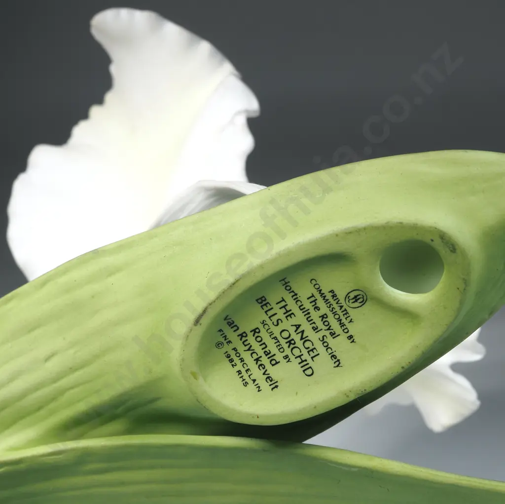 Angel Bells Orchid Porcelain  By Ronald Van Ruykevelt 1982 Royal Horticultural Society Image 1++