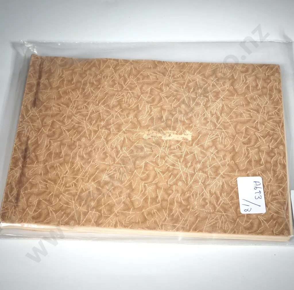 Stanley Gibbons Souvenir Album of the Coronation Stamps - Her Majesty Queen Elizabeth II. Image 1++