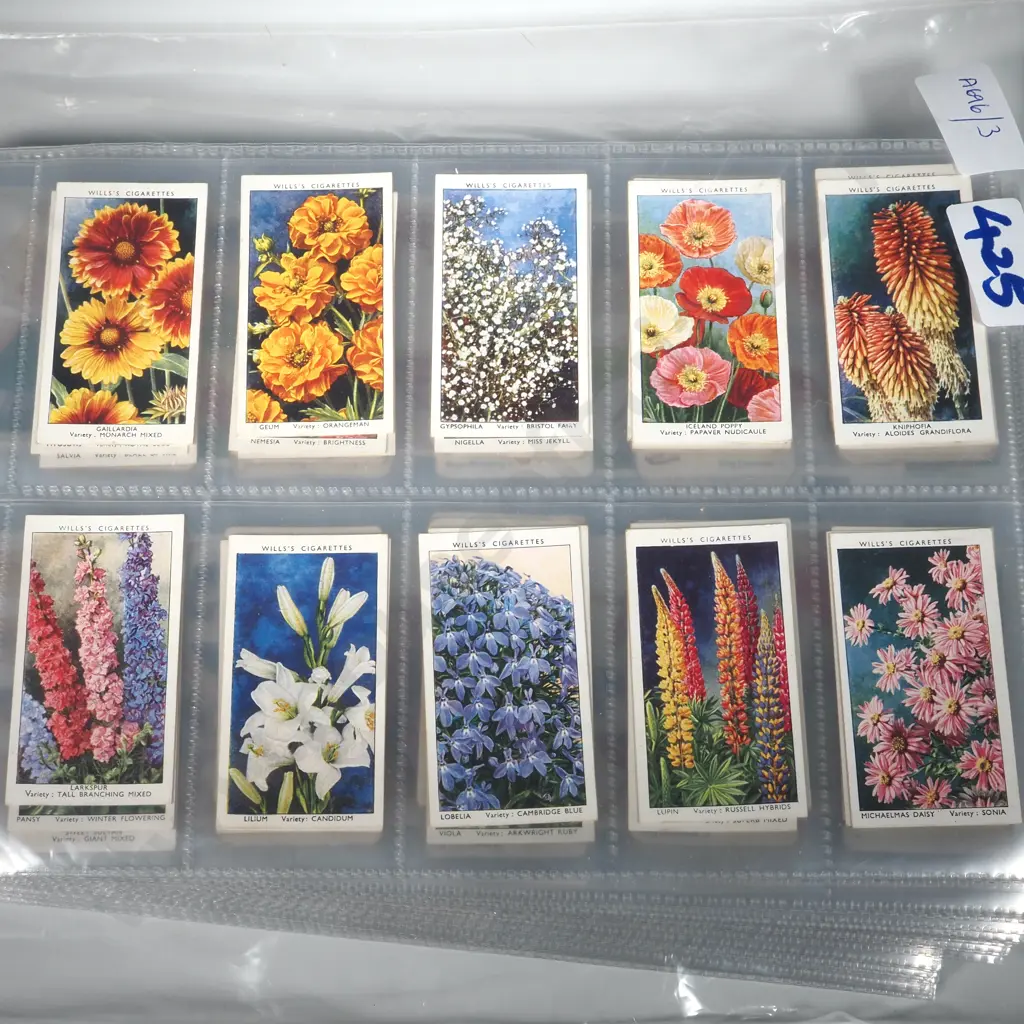 Large Collection of Wills Cigarette Cards In Plastic Sleeves Including Exercises, Flowers, School Emblems, Flags, Image 1++
