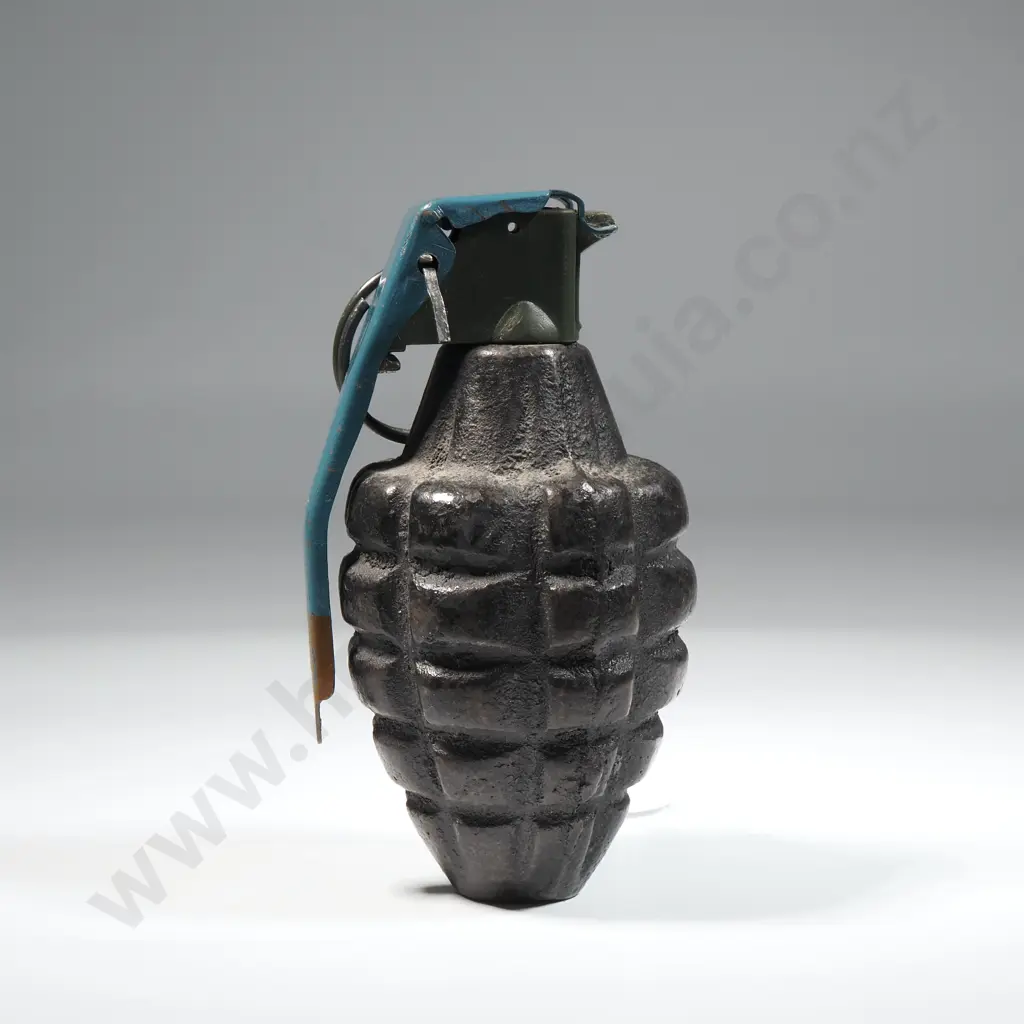 Pineapple Training Grenade  Image 1++