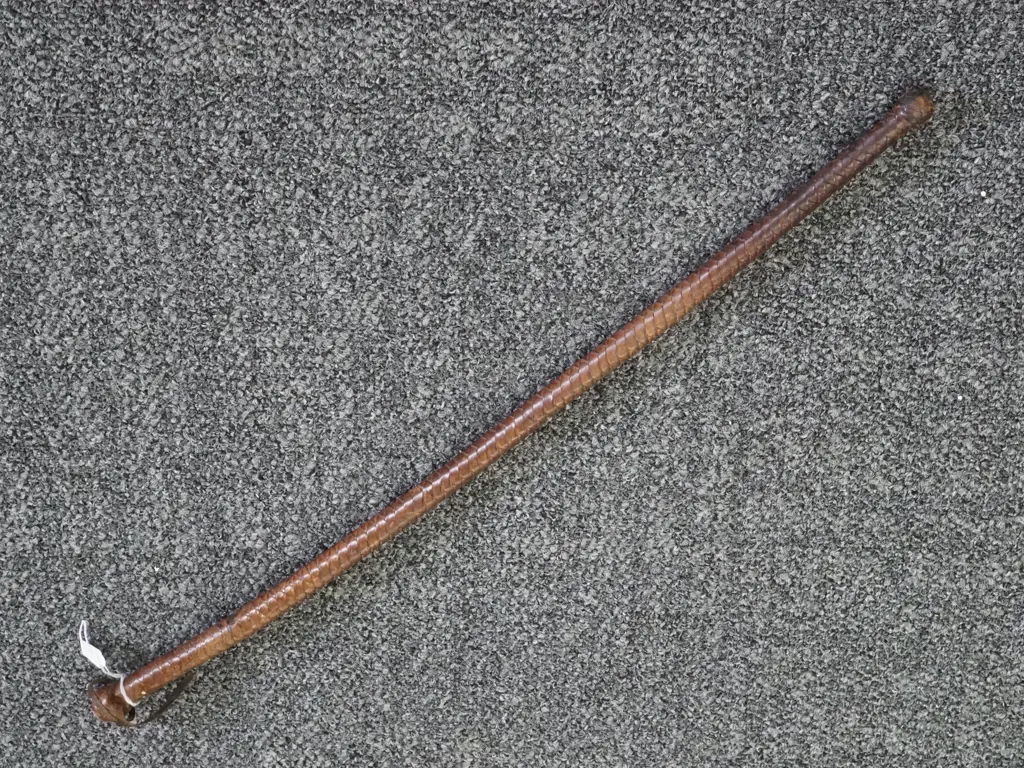 Plaited Leather Riding Crop. Image 1++