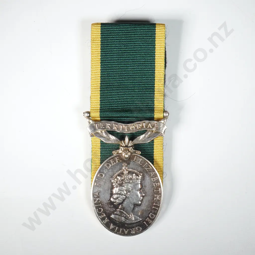 Queen Elizabeth II Efficiency Medal to 22569678 L/CPL J Fielding Signals  Image 1++