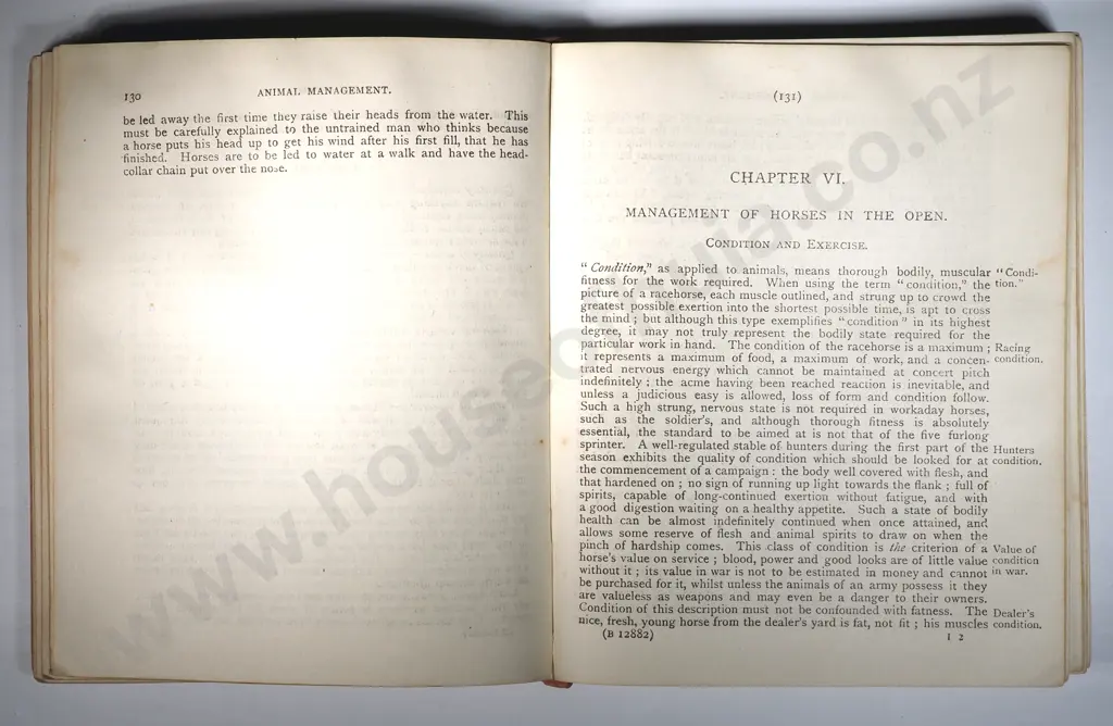Veterinary Department, War Office. 1908. Animal Management. Reprint 1916. His Majesty's Stationary Office, London. Image 1++