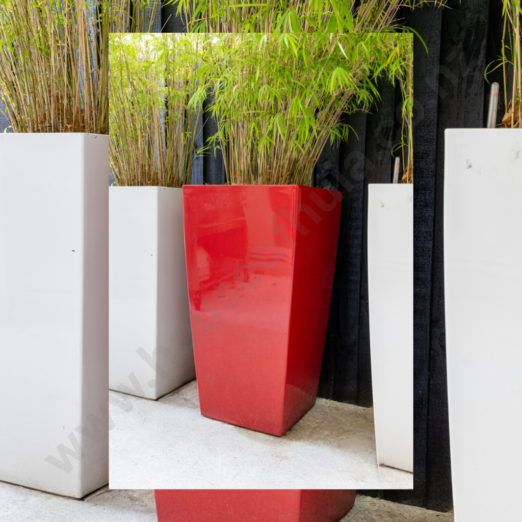 Large Outdoor Red Planter Pot With Bamboo Image 1++