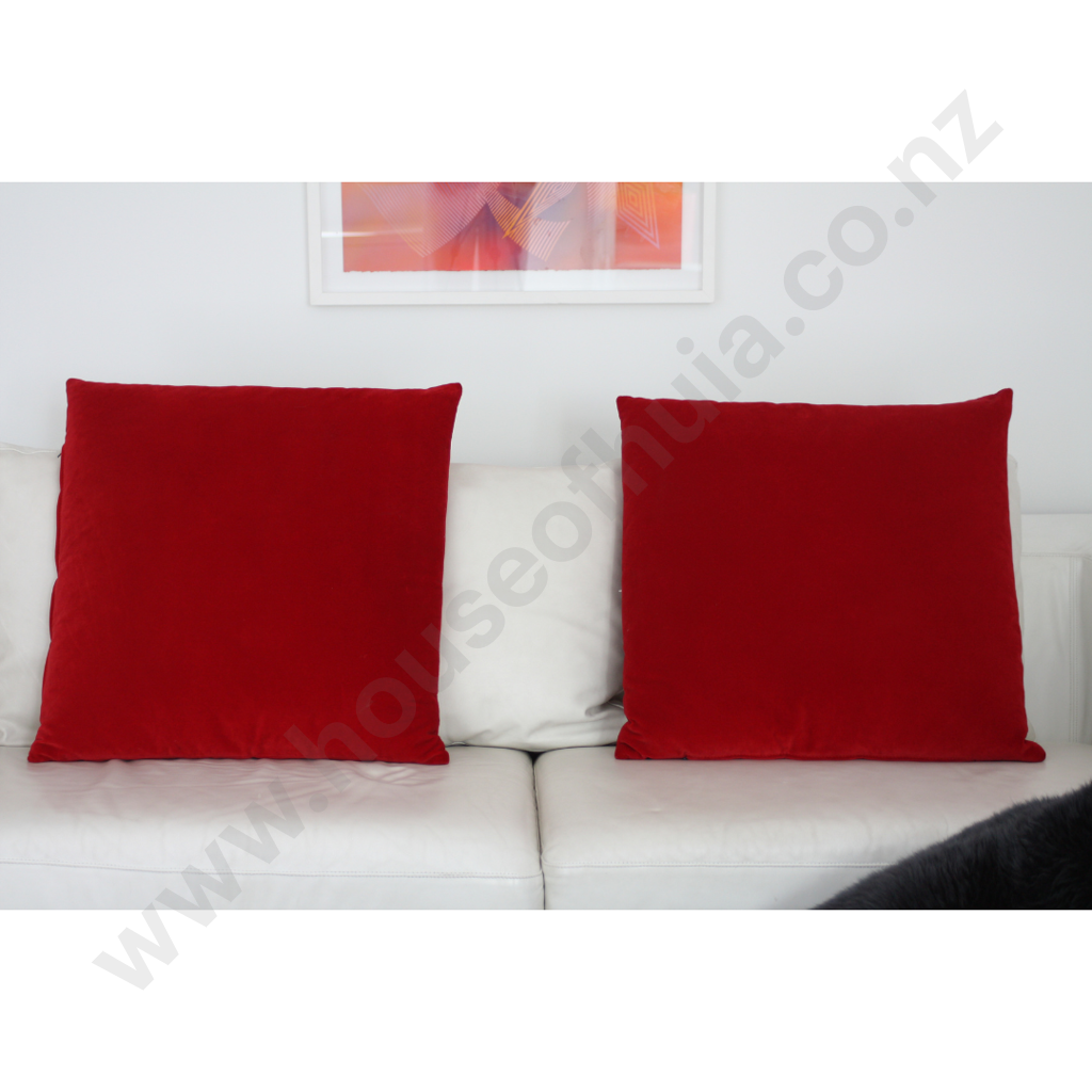 Two Red Indoor Square Cushions Image 1++
