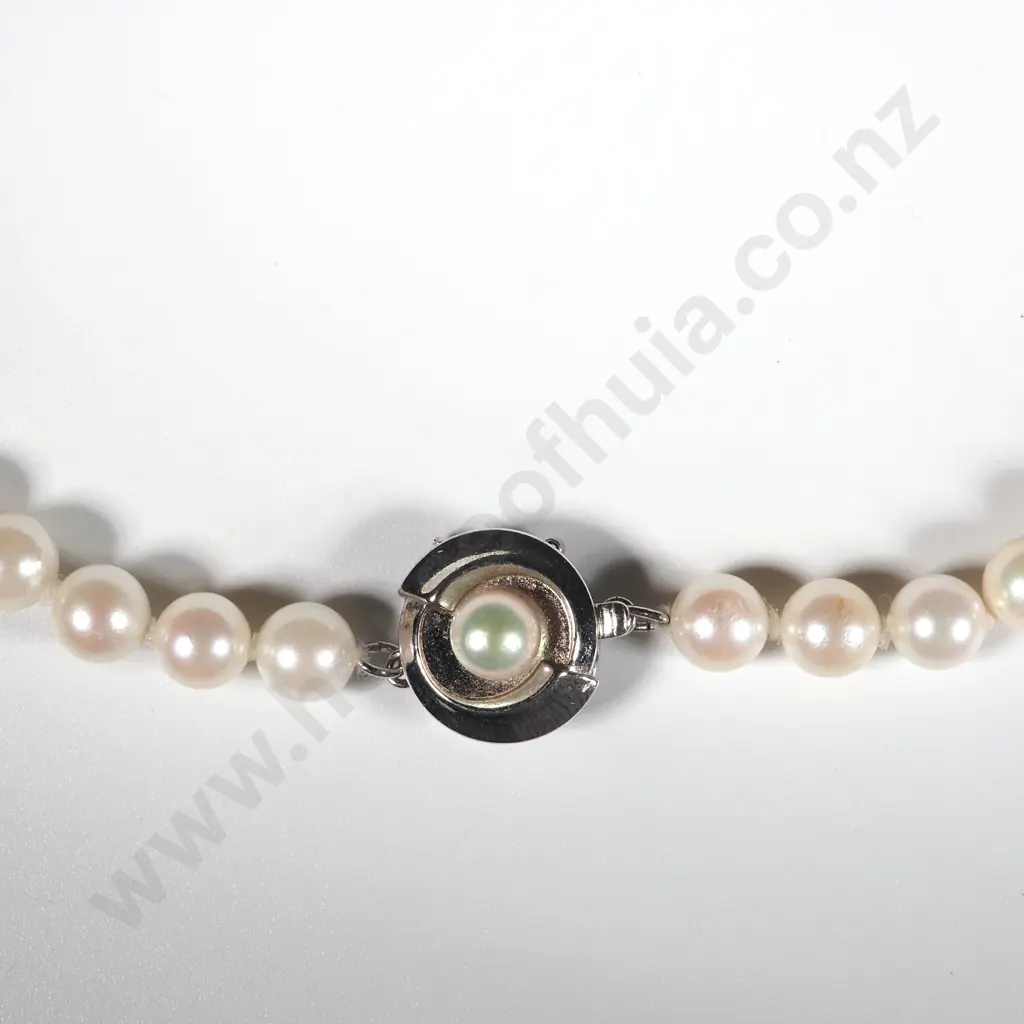 Sterling Silver Clasp Pearl Necklace Image 1++