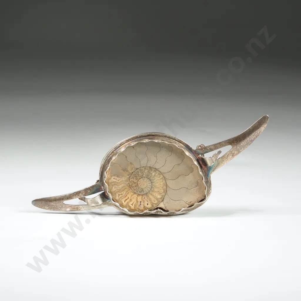 Sterling Silver Ammonite Brooch Image 1++