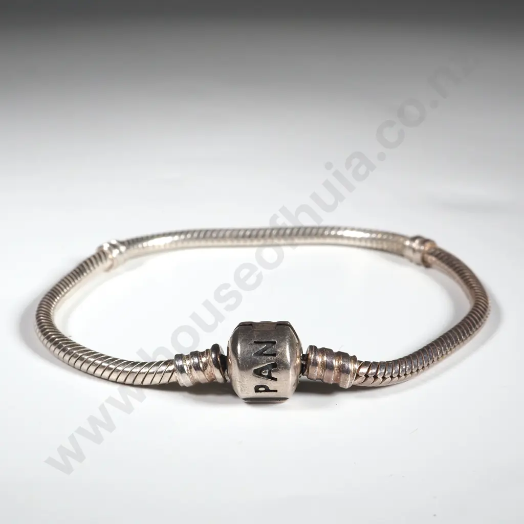 Sterling Silver Pandora Charm Bracelet Image 1++