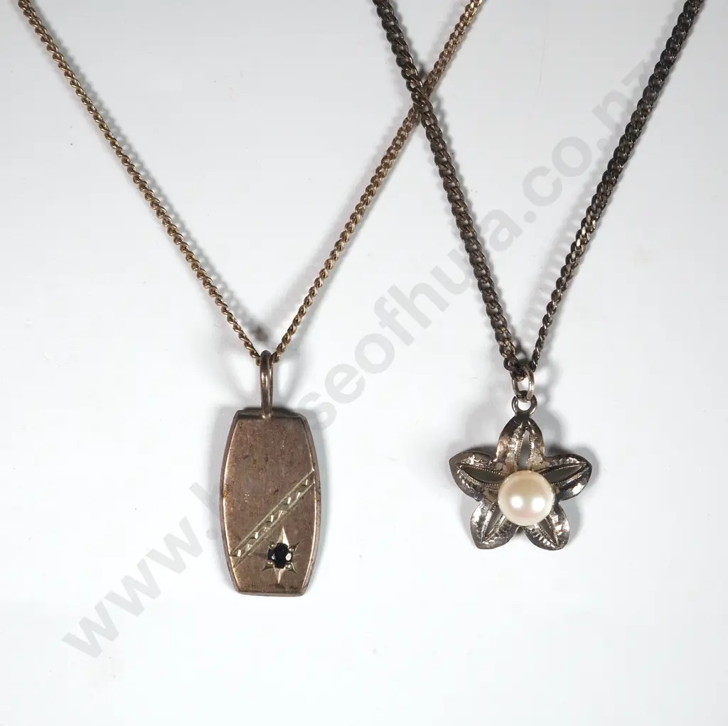 Two Sterling Silver Pendants on Sterling Silver Chains Image 1++
