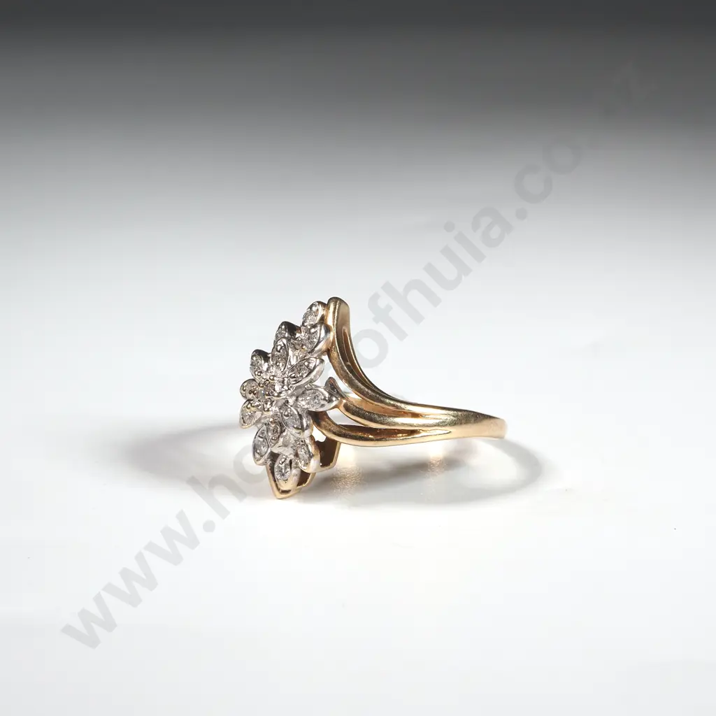 9ct Gold & Diamond Cluster Ring  Image 1++