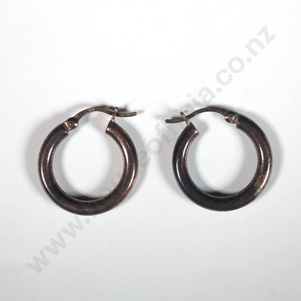 Pair Of Sterling Silver Round Hoop Earrings Image 1++