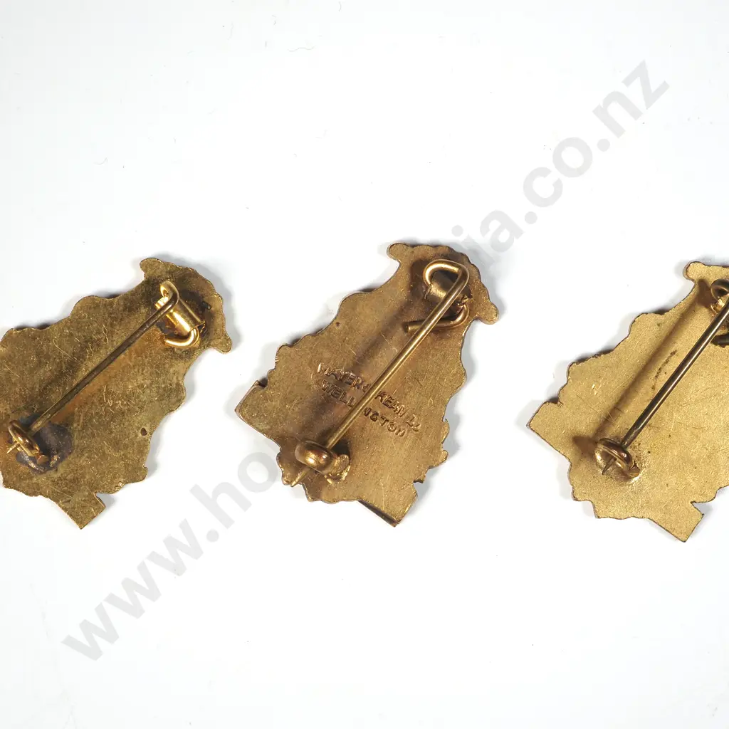 Three New Zealand Brass Band Association Pins - Executive & Life Member Image 1++