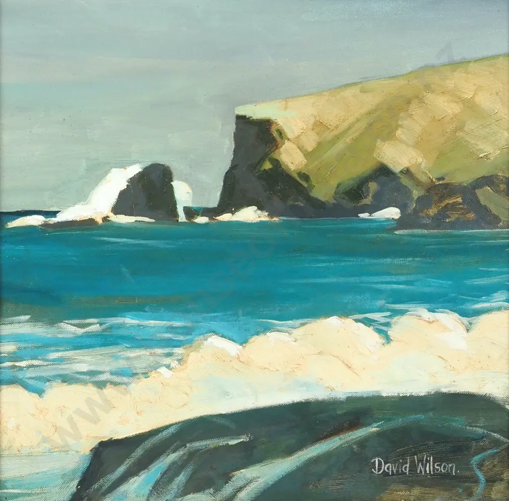 David Wilson. Peninsula Headland, Canterbury NZ. Oil on Board. Image 1++