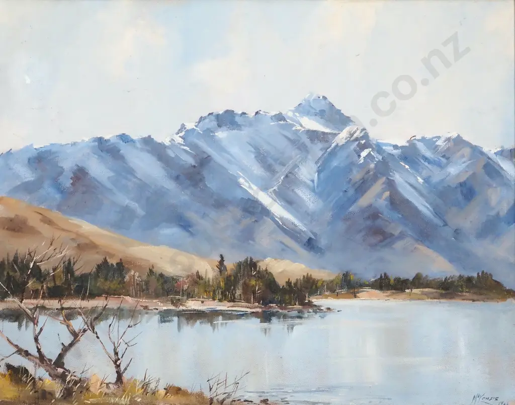 C. McKenzie. The Remarkables, Lake Wakatipu Oil on Board. Image 1++