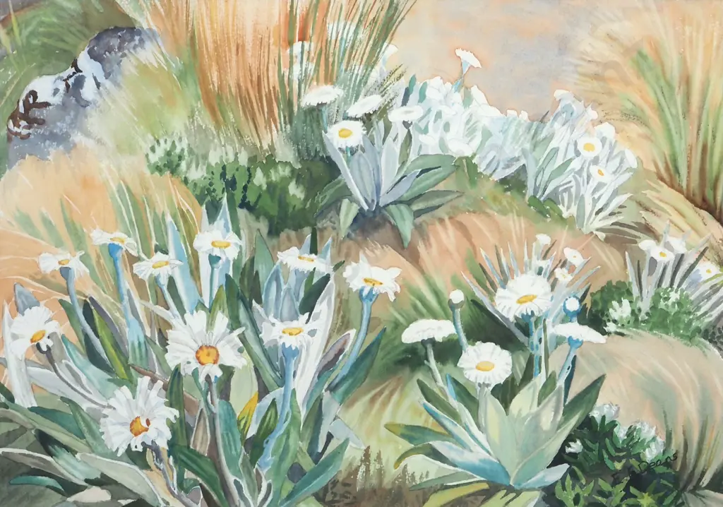 E. E. Deans. Celmisia on a Mountain Hillside. Watercolour. Image 1++