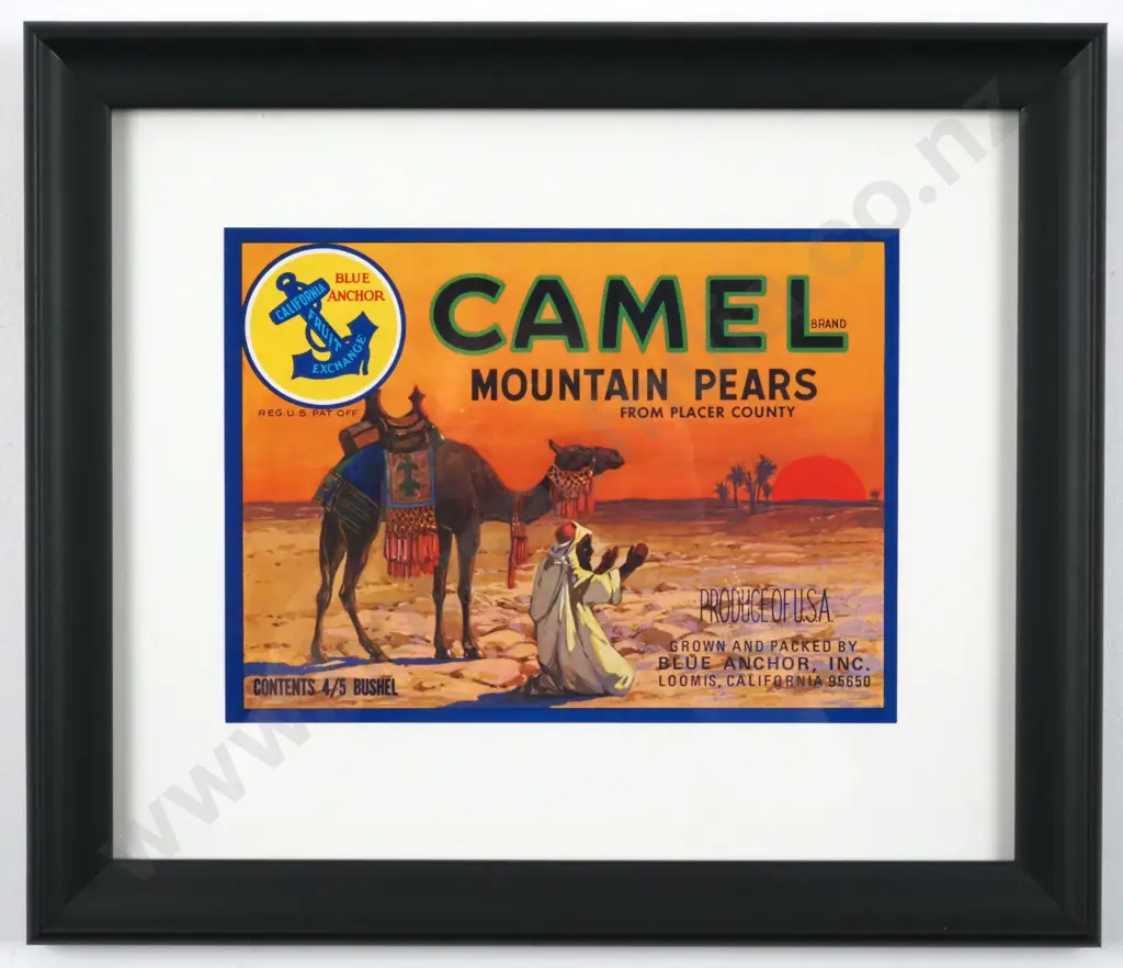 Vintage 1920s -1940s Camel Mountain Pears Fruit & Vegetable Crate Label. Authentic Original - Lithograph. Image 1++