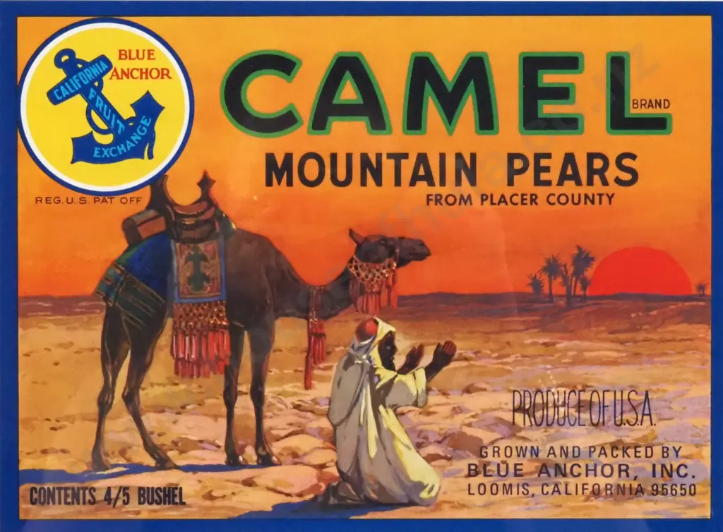 Vintage 1920s -1940s Camel Mountain Pears Fruit & Vegetable Crate Label. Authentic Original - Lithograph. Image 1++