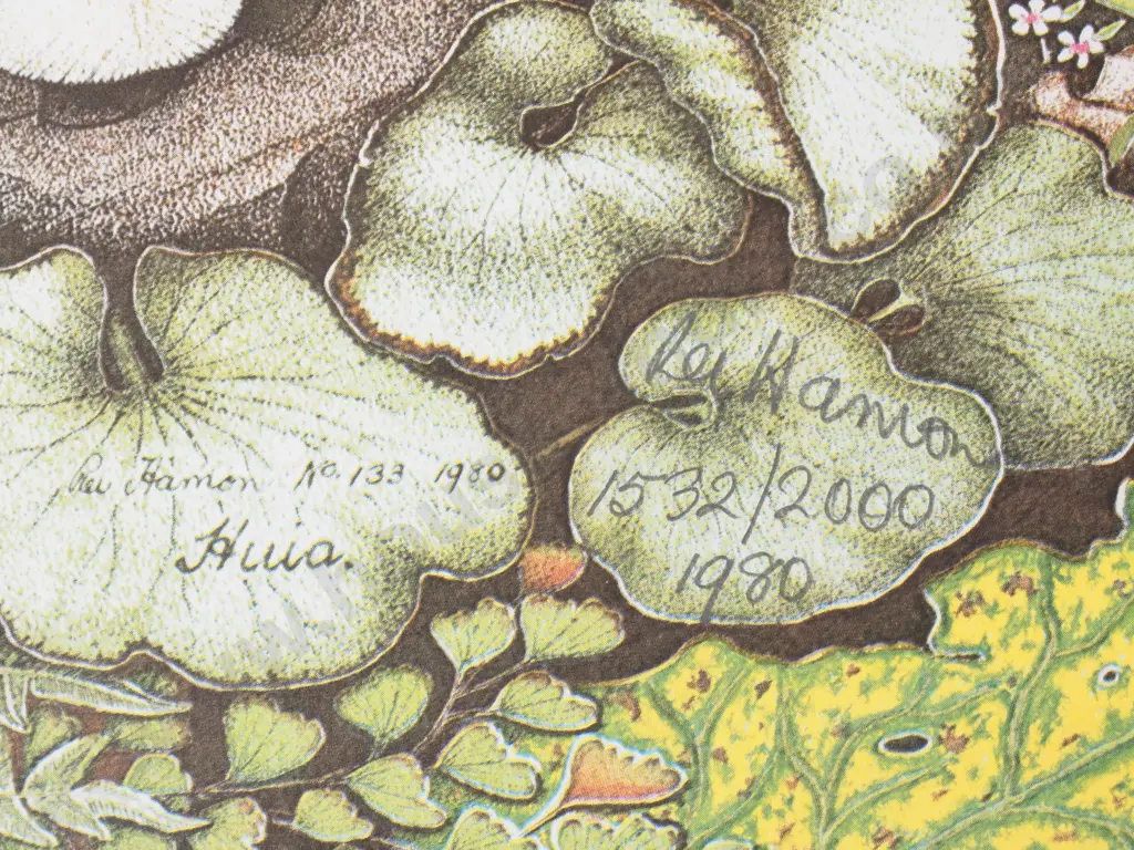 Rei Hamon - Huia, No 133, Signed and Annotated, '1980 1532/2000' in Pencil, LE Print. Image 1++