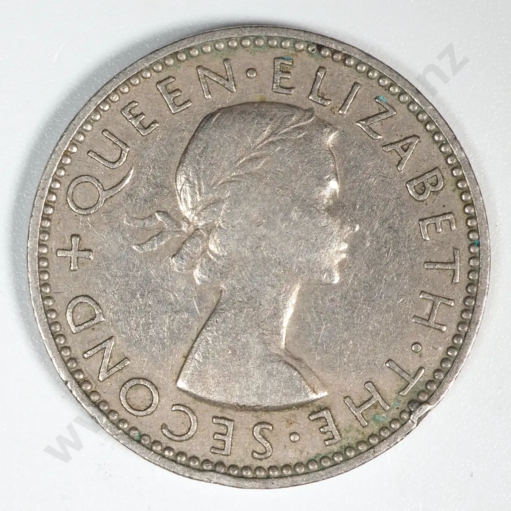 100 New Zealand 1955 Shilling Coins Total CV $400 Image 1++