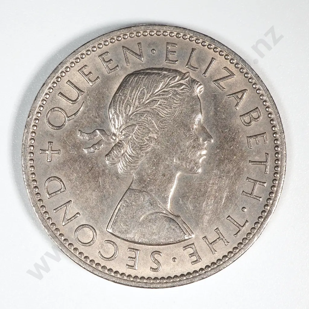 50 New Zealand 1963 Florin Coins - Total CV $300 Image 1++