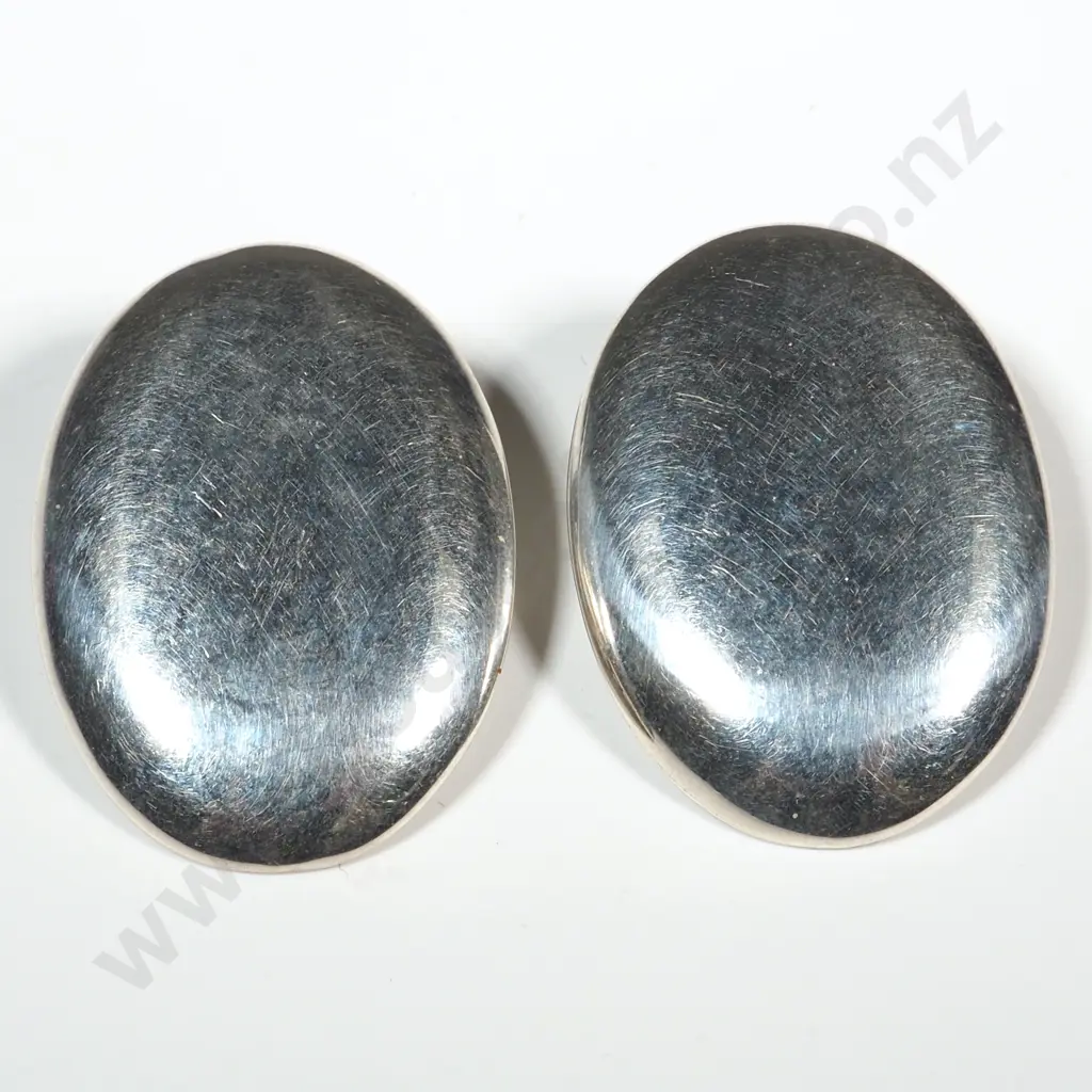 Pair of Sterling Silver Earrings Image 1++