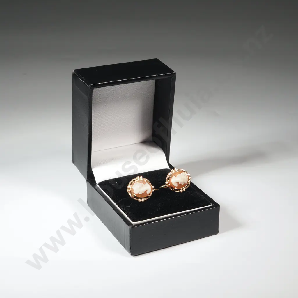 Rolled Gold Cameo Earrings. Image 1++