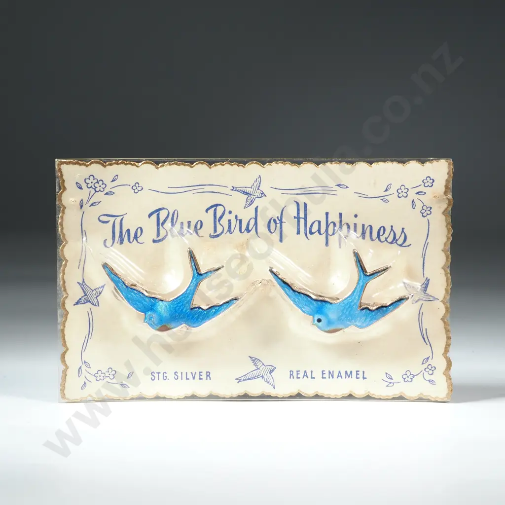 Sterling Silver & Enamel Brooch Image 1++