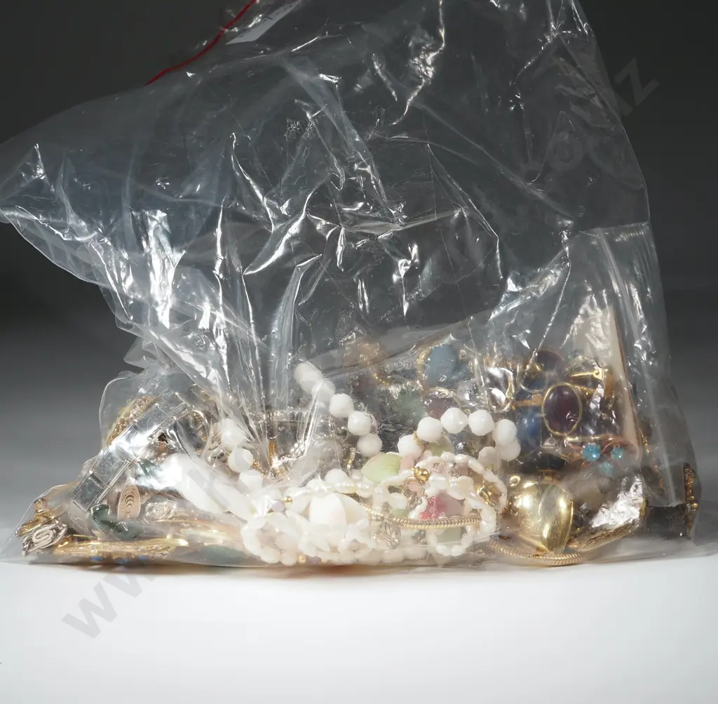 Assorted Lot of Costume Earrings. Image 1++