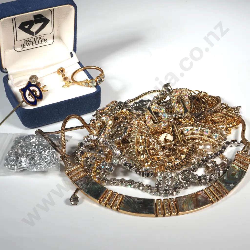 Assorted Lot of Necklaces, 2 Tie Pins & a Boxed Pair of Earrings. Image 1++