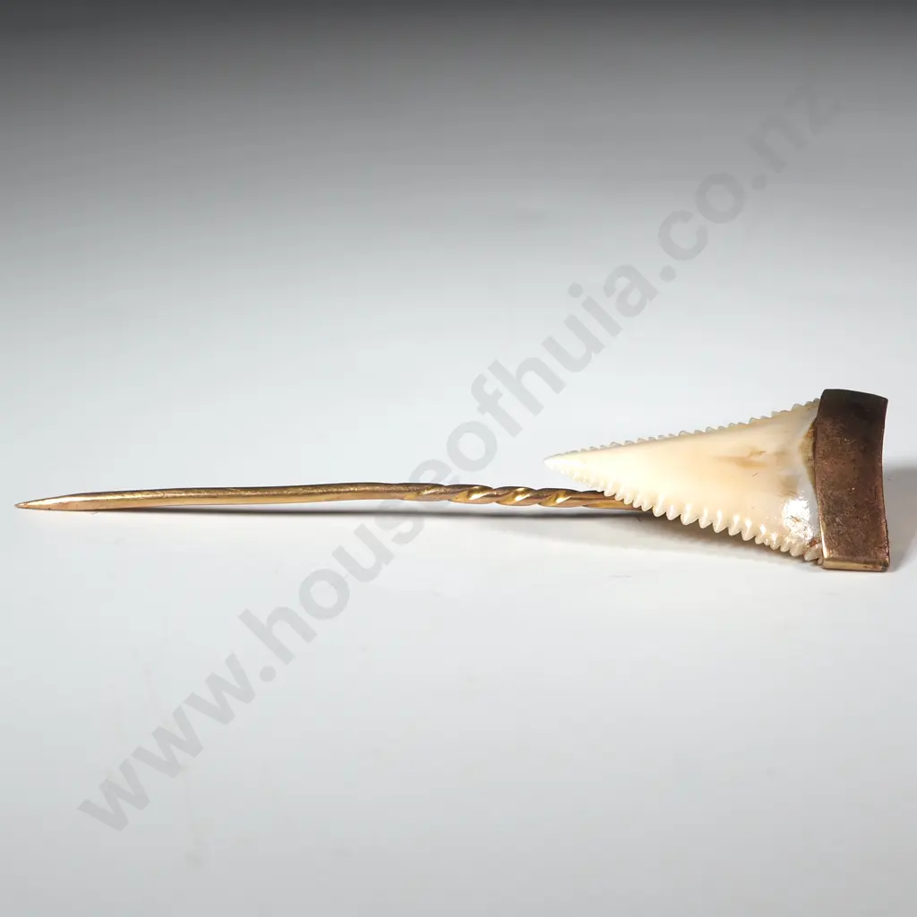Colonial Sharks Tooth Stick Pin Mounted in 9ct Gold Image 1++