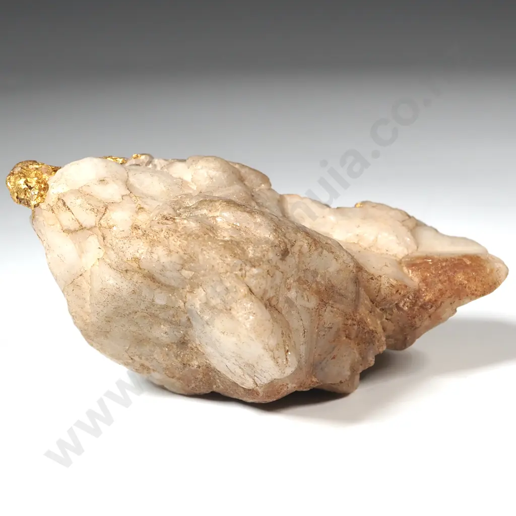 Spectacular Specimen of Gold Bearing Quartz Image 1++