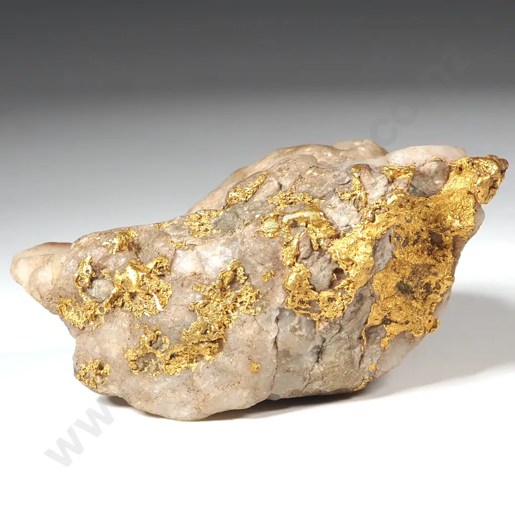 Spectacular Specimen of Gold Bearing Quartz Image 1++
