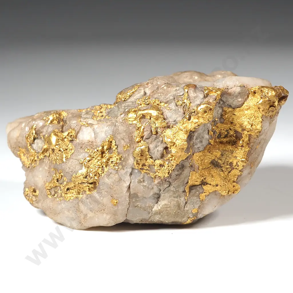 Spectacular Specimen of Gold Bearing Quartz Image 1++