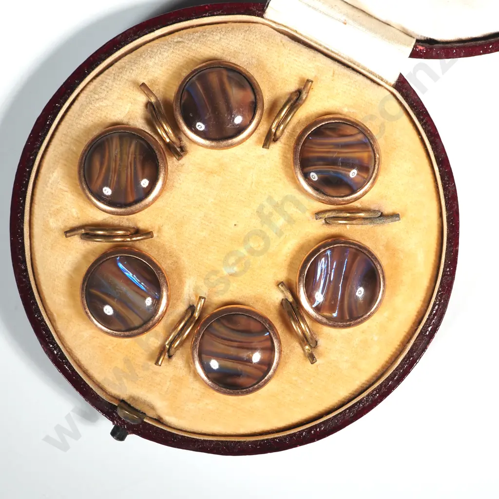Antique Cased Set of Six Rolled Gold & Butterfly Wing Buttons Image 1++