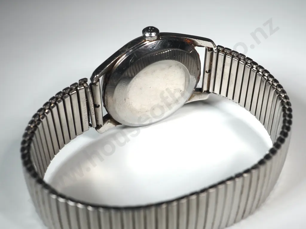 Vintage Omega Automatic Seamaster Image 1++