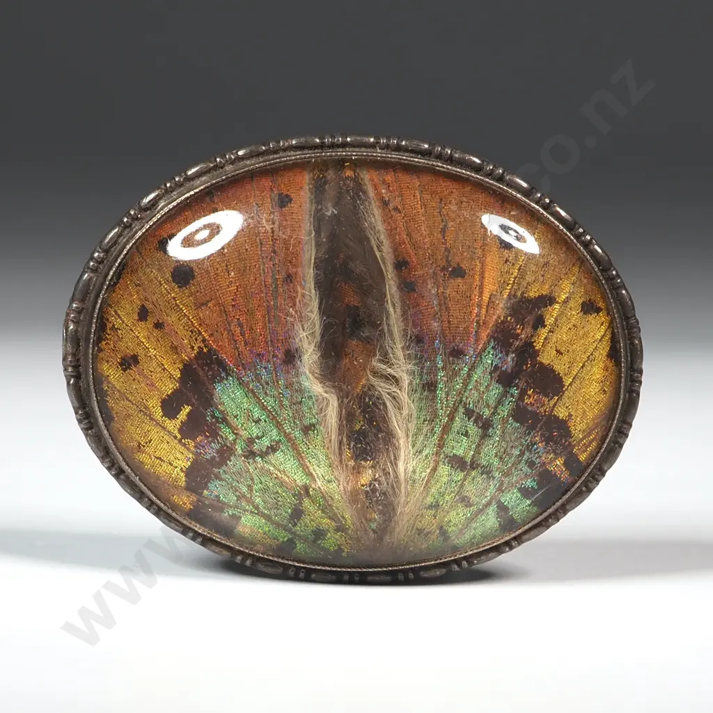 Sterling Silver Butterfly Wing Brooch Image 1++