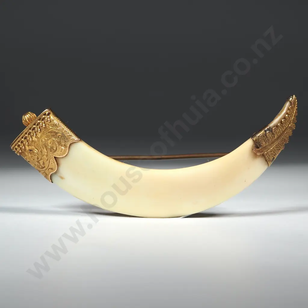Colonial 15ct Gold Mounted Boar Tusk Brooch Image 1++
