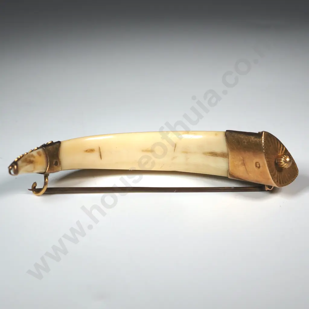 Colonial 15ct Gold Mounted Boar Tusk Brooch Image 1++