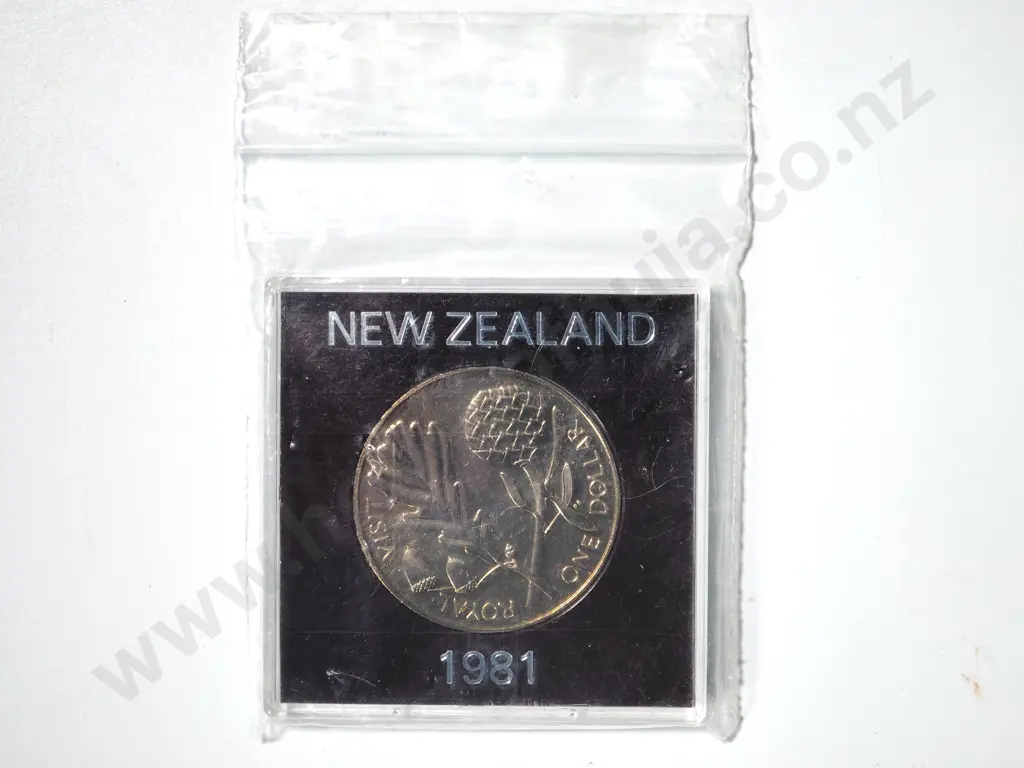 65 x 1981 UNC ONE DOLLAR COINS Image 1++