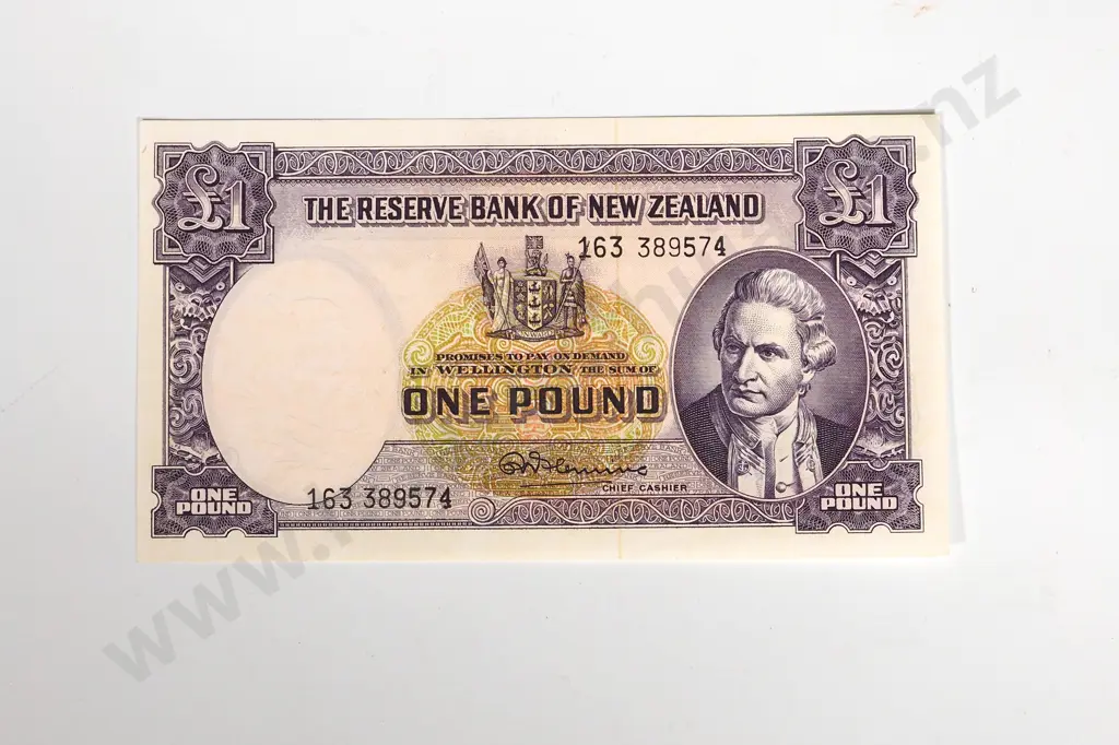 RESERVE BANK OF NEW ZEALAND ONE POUND FLEMING 163 UNC Image 1++