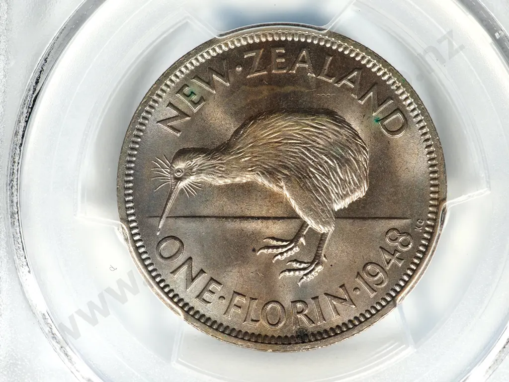 1948 FLORIN UNC MS62 Image 1++
