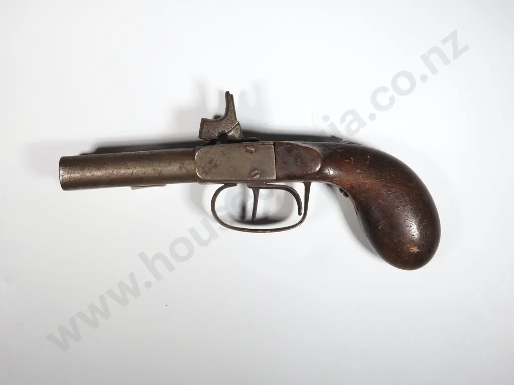 Double Barrel Percussion Pistol. Steel Mounts. Image 1++